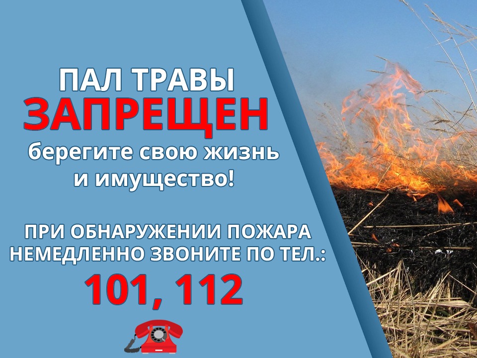 Пал травы - запрещен.